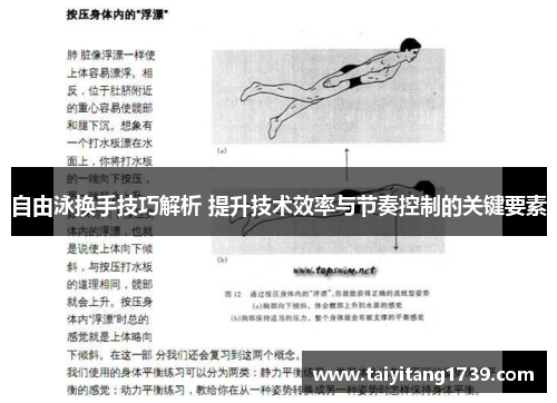 自由泳换手技巧解析 提升技术效率与节奏控制的关键要素