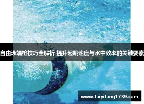自由泳端枪技巧全解析 提升起跳速度与水中效率的关键要素